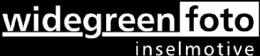 foto widegreen logo